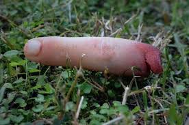 This belong to anyone?