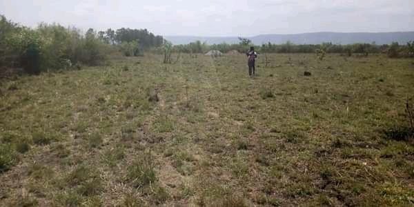 kelvingold76's tweet photo. greetings from testkill properties Ghana,we have lands and houses for sell in accra Ghana....whatsapp +233201101118 for more info https://t.co/IU8ywabuff