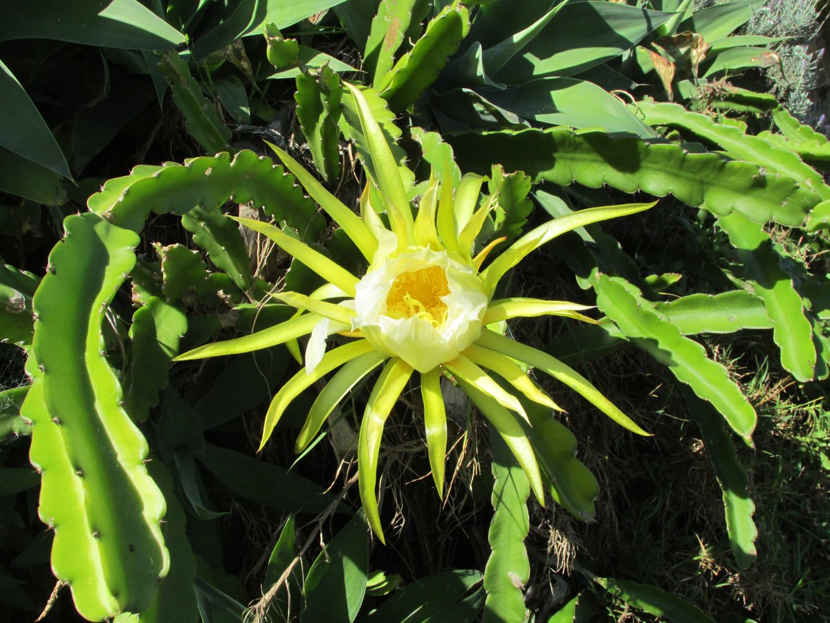 Eric Peace (@ericpeace18) on Twitter photo 