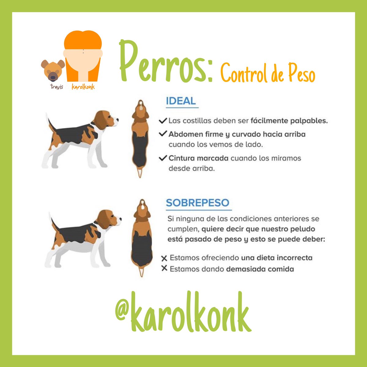 Como saber si tu perro tiene el peso correcto. #perro #mascotas #tips #consejos