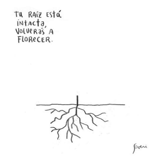 MF_Robert's tweet photo. • Tu raíz está intacta, volverás a florecer.
• Me hacen feliz las nuevas versiones de los que se están poniendo nuevamente de pie.

#Severi #MarcosSeveri https://t.co/g5PtFfJ2ZA
