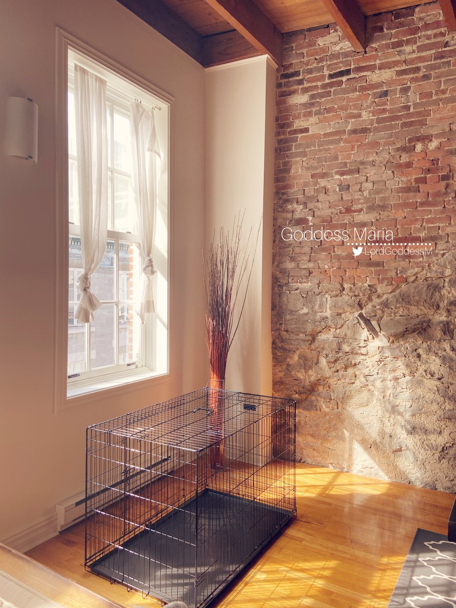 Lord Maria Lifestyle Domme Next Door on Twitter "Femdom interior design"