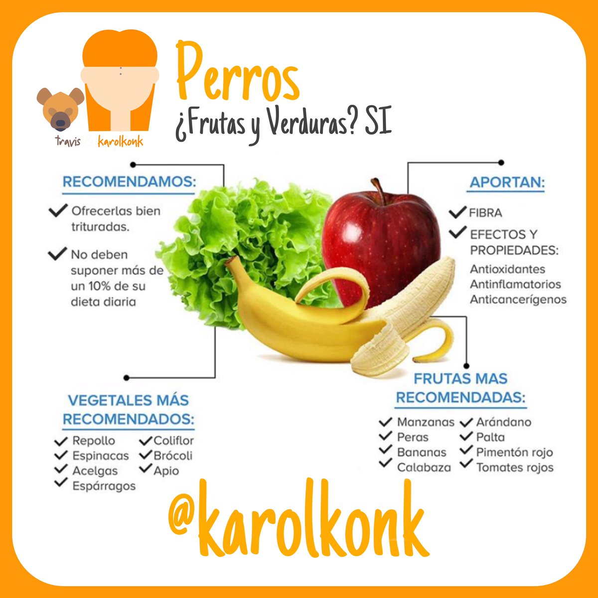 Perros: ¿Frutas y Verduras? SI #ALIMENTACION #mascotas #