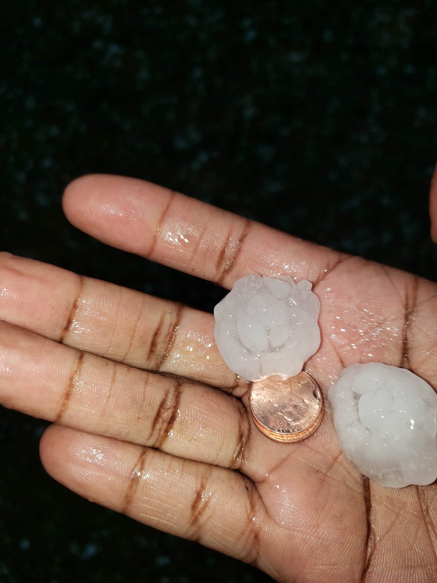 #Hail in Champaign (with penny for size reference) #ilwx <a href="/NWSLincolnIL/">NWS Lincoln IL</a>