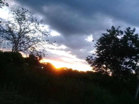 anakarinaMoli15's tweet photo. #SpamDeAtardecerEnMonteria #Mocari #Monteria #perladelsinú
siempre hay una luz al final del camino @monterialcaldia https://t.co/pLmQE66xeR
