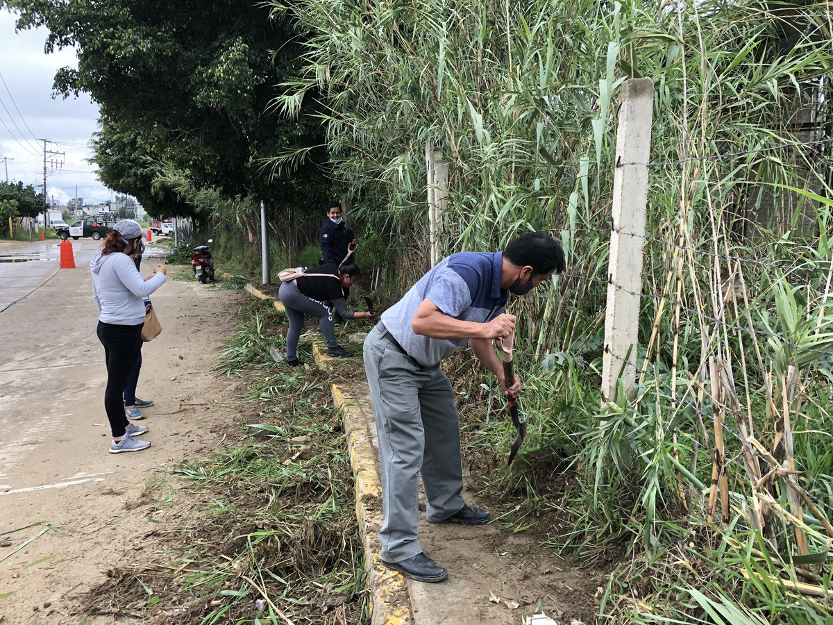 AlfonsoAngelVa2's tweet photo. La Regiduria de Ecologia de San Antonio de la Cal el día de hoy se llevó a cabo un tequio donde todos los regidores y personal del ayuntamiento participaron con la finalidad de embellecer la Av. Morelos de la 1ra Sección.
Seguiremos trabajando con honestidad y compromiso. https://t.co/GpGRstlK7j