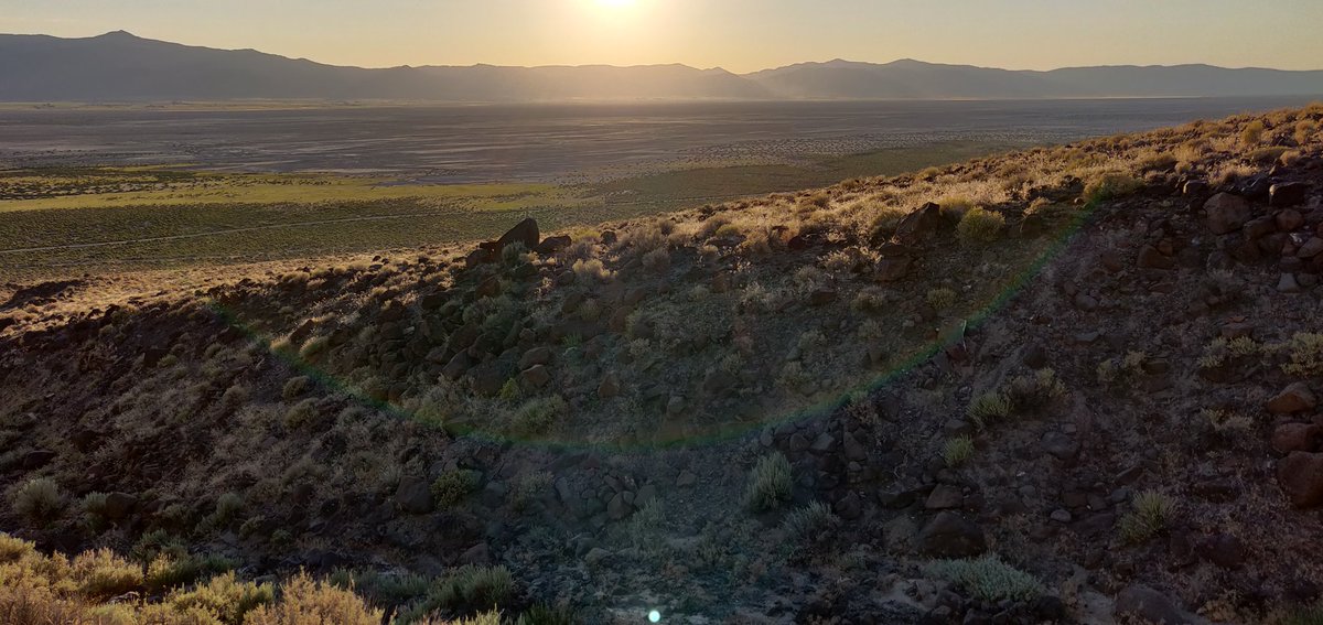 Alex Grant tweet media