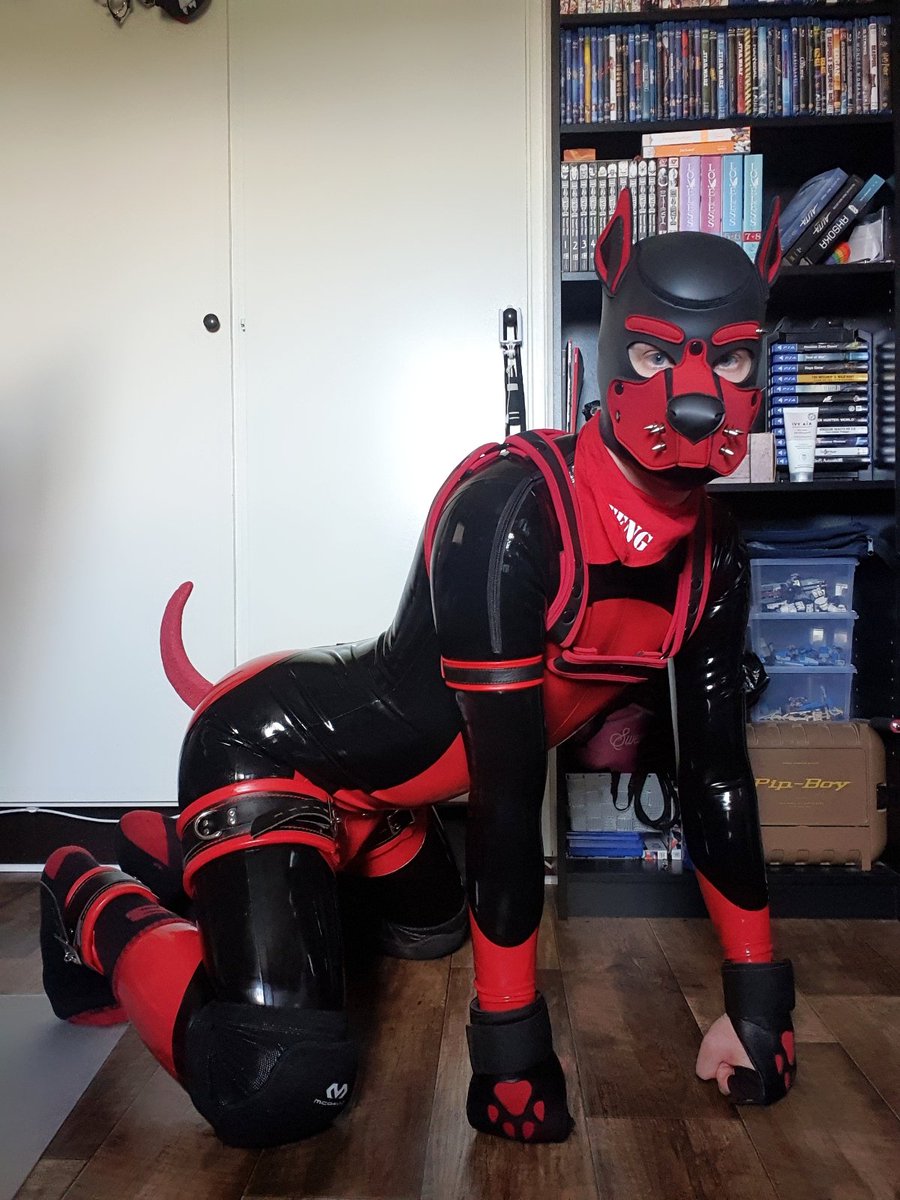 Pup Rebel tweet media