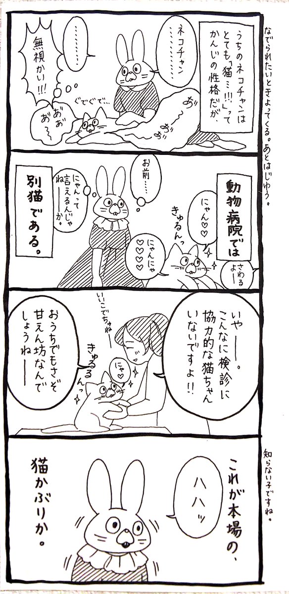 うさぎのみみちゃん😇7/5,6デザフェスB160 on X: 