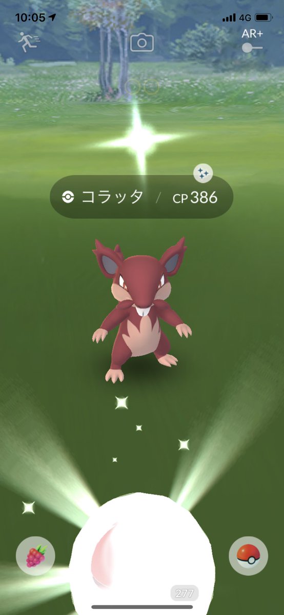 ট ইট র Moka5 アローラコラッタ ポケモンgo ポケモンgo高知 ポケモンgo色違いポケモン アローラコラッタ色違い T Co Totybcscfb ট ইট র