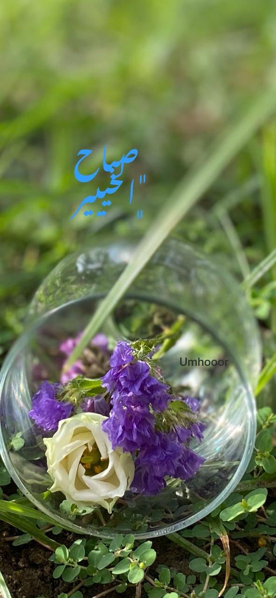 ابداعات (Um hoor)مبدعه👌🏻✅✅#شبكه-المتميزين -للطقس🌹🌹