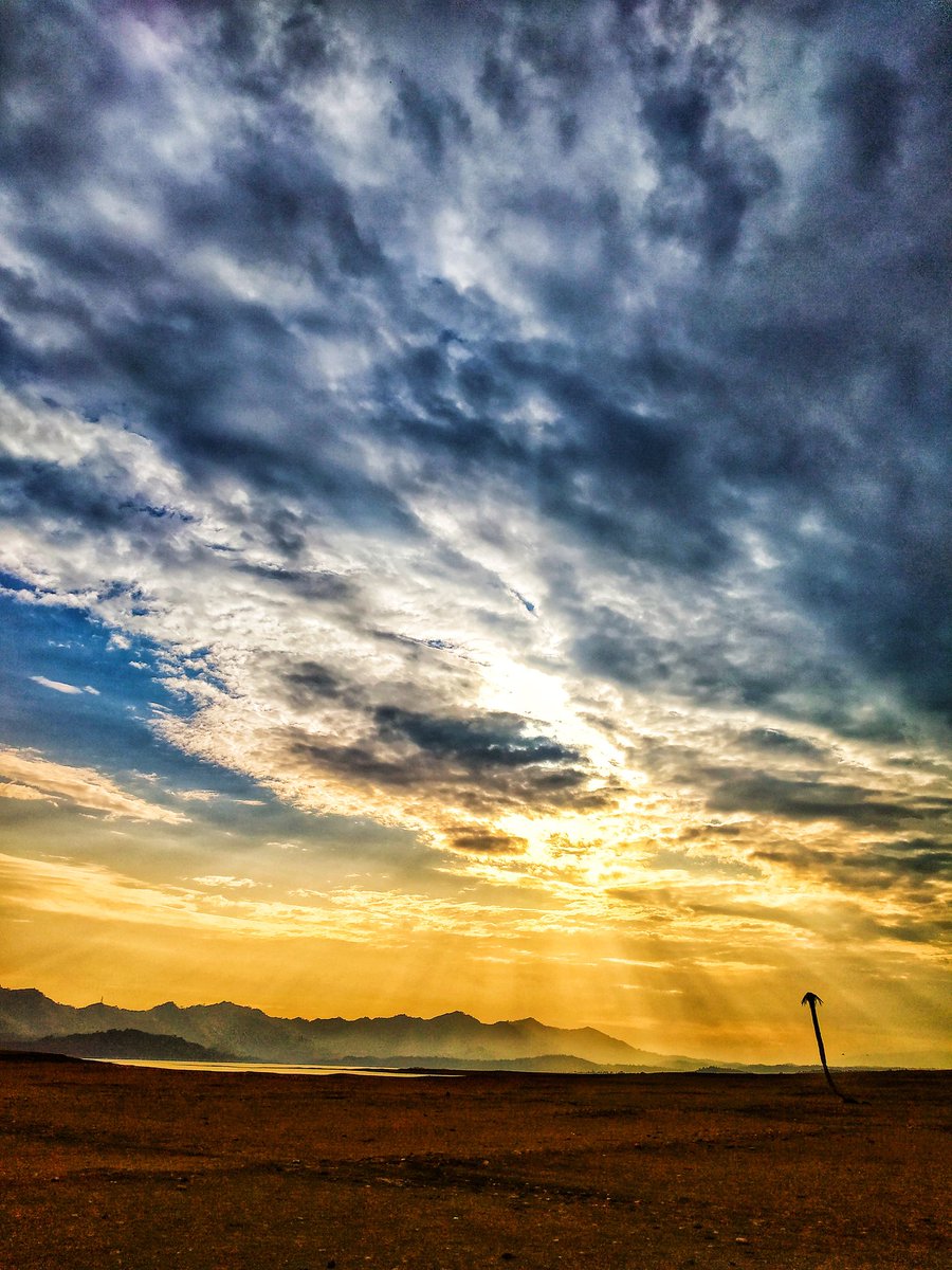 Rameshwar_101's tweet photo. 4 different days
4 different visions
With same beauty 🌄
#unExplored PURTHU
Basohli, J&amp;k
@JammuTourism @DrJitendraSingh https://t.co/p9gsHF1X5R