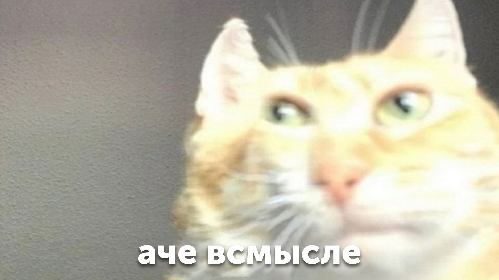 Аче всмысле