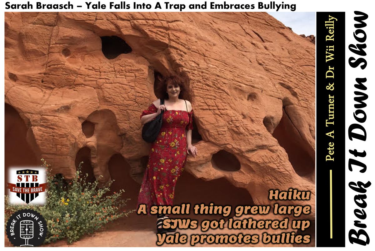 PeteATurner's tweet photo. audio version @sarahbraasch1 ep w @wil_da_beast630 & OL Pedro drops in 10 We ask? maybe 12 questions & the whole stories as reported unravels? Why is that?#nappingwhileblack #Yalesupportsharassment #podcast
Haiku
A small thing grew large
SJWs got lathered up
Yale Promotes bullies https://t.co/ja5rivYfps