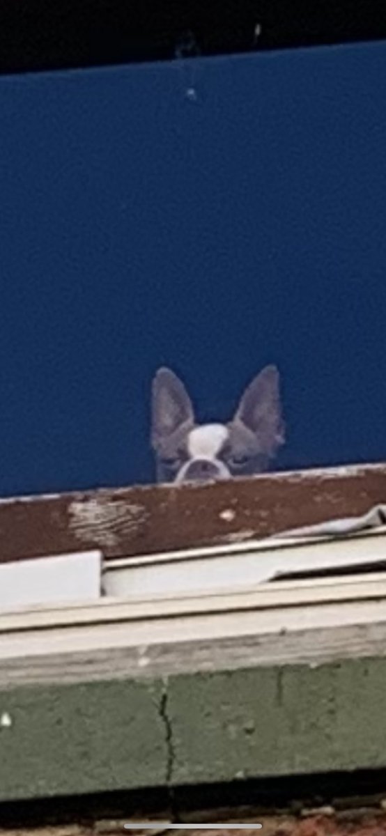 Just Vee waiting for jose and I to get home 😂