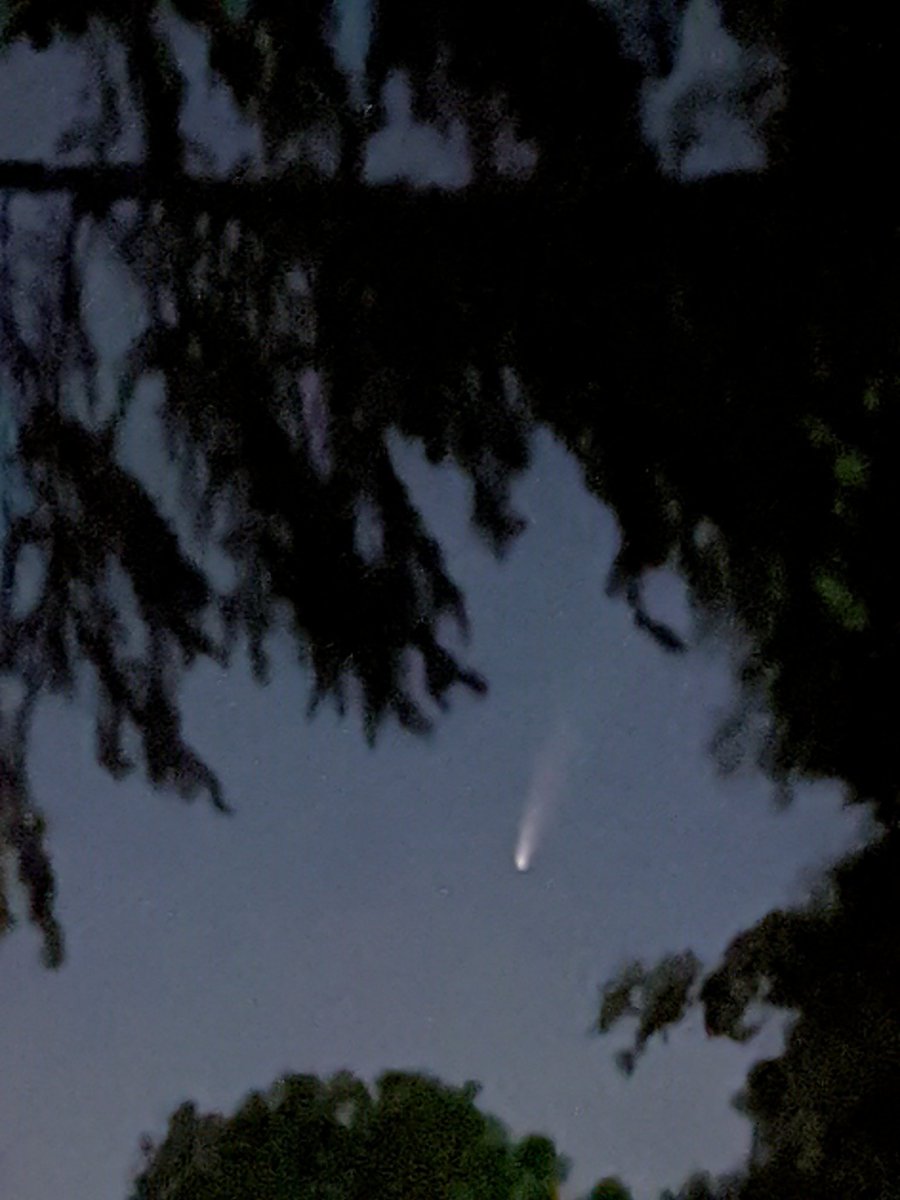 daniellismore's tweet photo. I see #neowise @VirtualAstro #cometNEOWISE #northsky @NASA @NASAEarth @AsteroidWatch https://t.co/DvrvEB8444