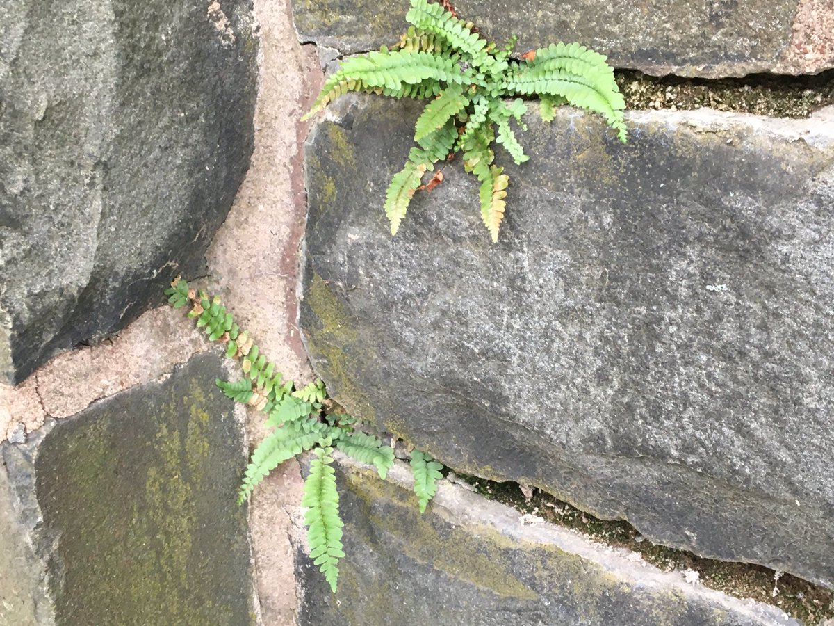 Bill Leukhardt tweet media