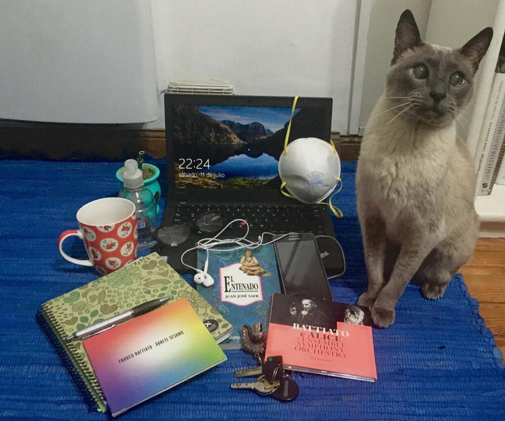 #esencialesdecuarentenax15 #mteUBA #sala4 <a href="/weberweb/">Verónica Weber</a> <a href="/Ayegandara/">Ayelén</a> <a href="/mnloschiavo/">mnloschiavo</a> <a href="/lanprofe/">Arena Nuñez</a> <a href="/cmquerol1/">Claudio Querol</a> @lsicardi <a href="/alezarauza/">Alejandro Zarauza 🇦🇷🇧🇷🇨🇱🇺🇾🇵🇪</a>