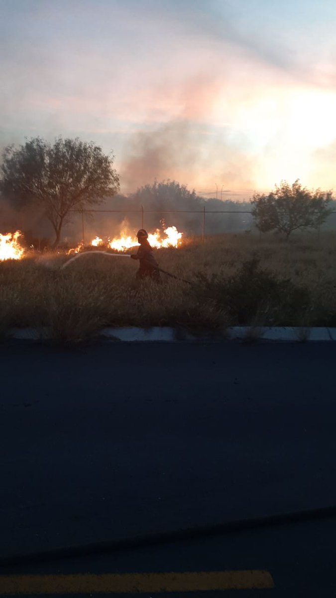 PC_NuevoLeon's tweet photo. #incendiodepastizal
Se registra incendio de pastizal aproximadamente 5 hectáreas sobre Blvd. Alfonso Martínez Domínguez y Carr a Miguel Alemán, Ejido Marín, NL.
#Precaución ⚠️ https://t.co/HOhawhsYh7