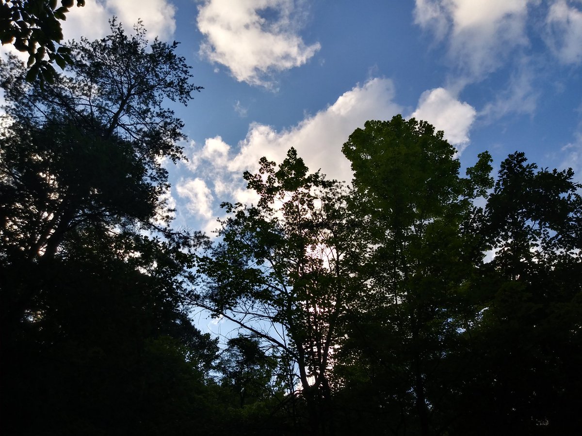 ChrissyPohler's tweet image. #raystownlake #vacationsallieverwanted @jpxpress13