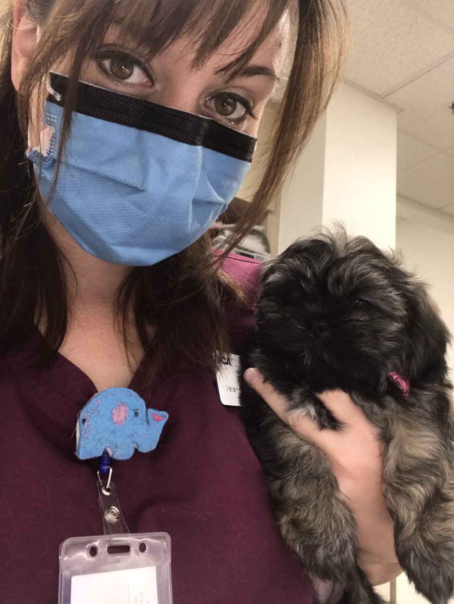 mymindsawake's tweet photo. We don't wanna be like them
We can make it 'til the end
Nothing can come between
You and I
Not even the Gods above
Can separate the two of us
No, nothing can come between
You and I #OneDirection #onevettech #vettechproblems #directionalvettech https://t.co/bdPIOBMrxh