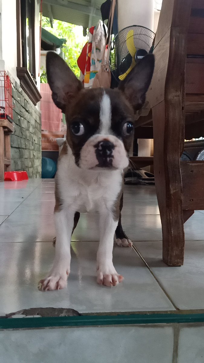gleng1007's tweet photo. Happy 3 months my baby #khalix πππ https://t.co/o3bjhhBo18