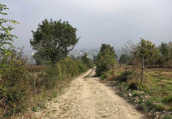 KocaaliU's tweet photo. In the beautiful countryside of Kocaali, is the road which leads to the hazelnut gardens ... https://t.co/Mej8CeBwd7