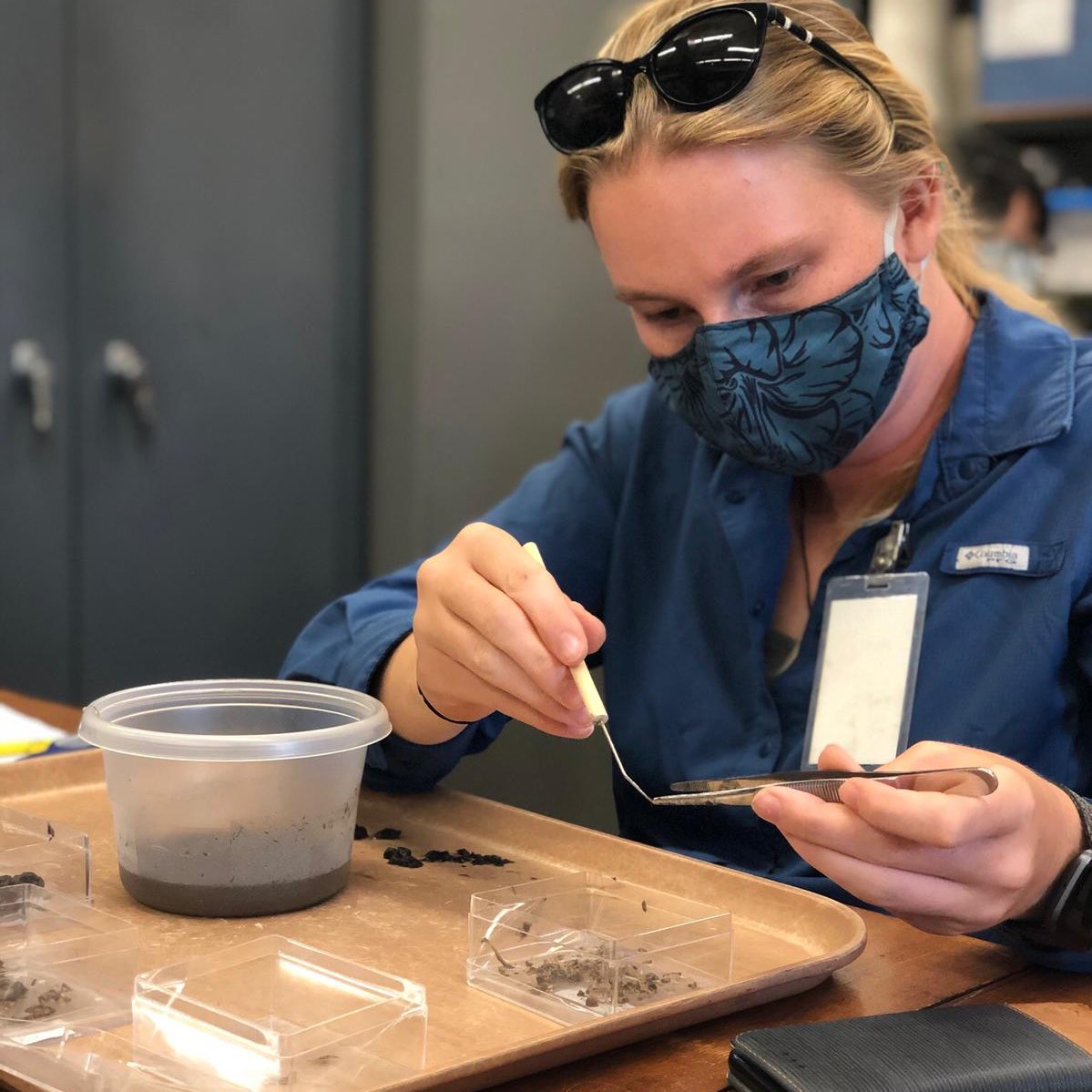 pueoproject's tweet photo. The #pueo hui goes to work, dissecting pellets (regurgitated bits of non-digestible food - i.e. fur, feathers, and bones!) to see what pueo eat!
Mahalo to our friends @bishopmuseum for their guidance! #science #owl #raptorresearch https://t.co/NKU0vw0say