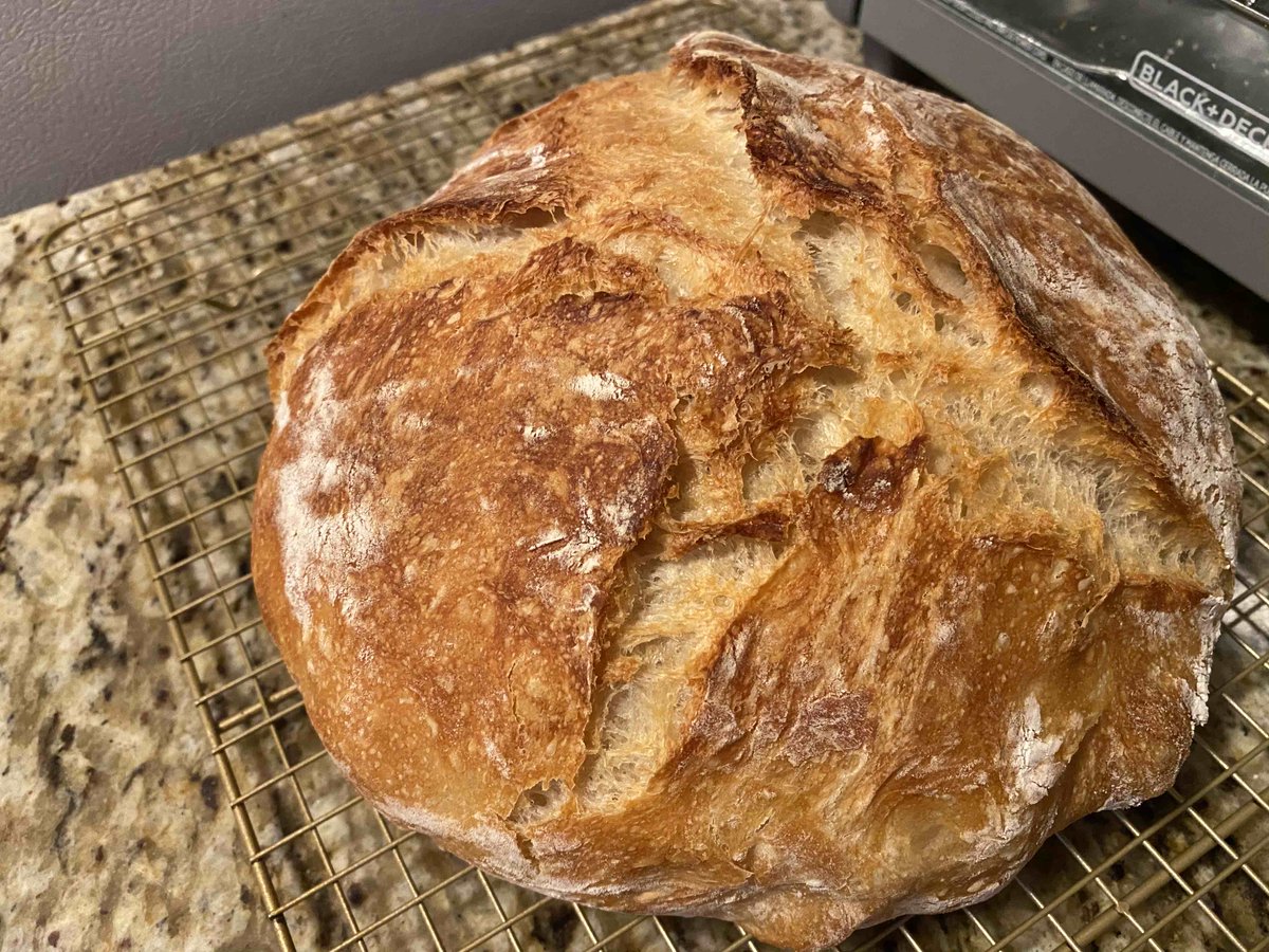 Stephen Gurnick tweet media