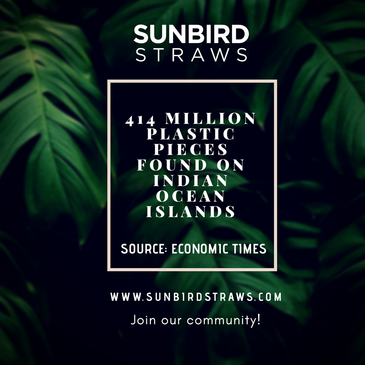 #biodegradable #coconuttleafstraws #drinkingstraws #ecofriendly #ecofriendlymaterials #ecofriendlyproducts #environmentallyfriendly #sustainability #circulareconomy #ruralemployment #womenempowerment #saveoceans