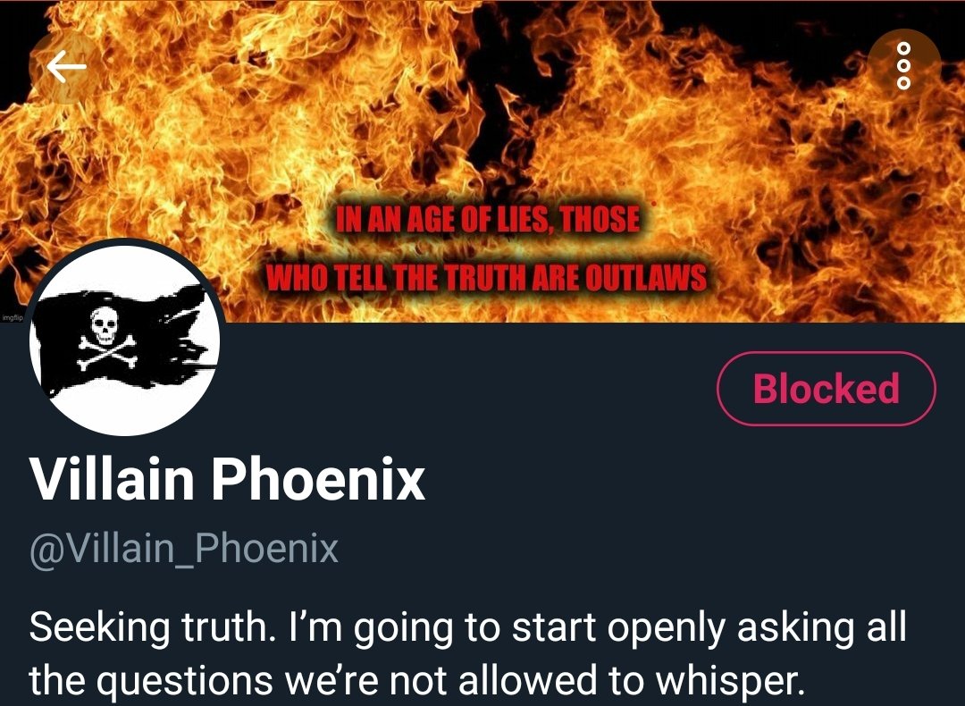 Twitter page of @Villain_Phoenix. Reads "Seeking truth. I'm going to start ope ly asking all the questions we're not allowed to whisper." Banner is a conflagration, red text reading, "IN AN AGE OF LIES, THOSE WHO TWLL THE TRUTH ARE OUTLAWS."