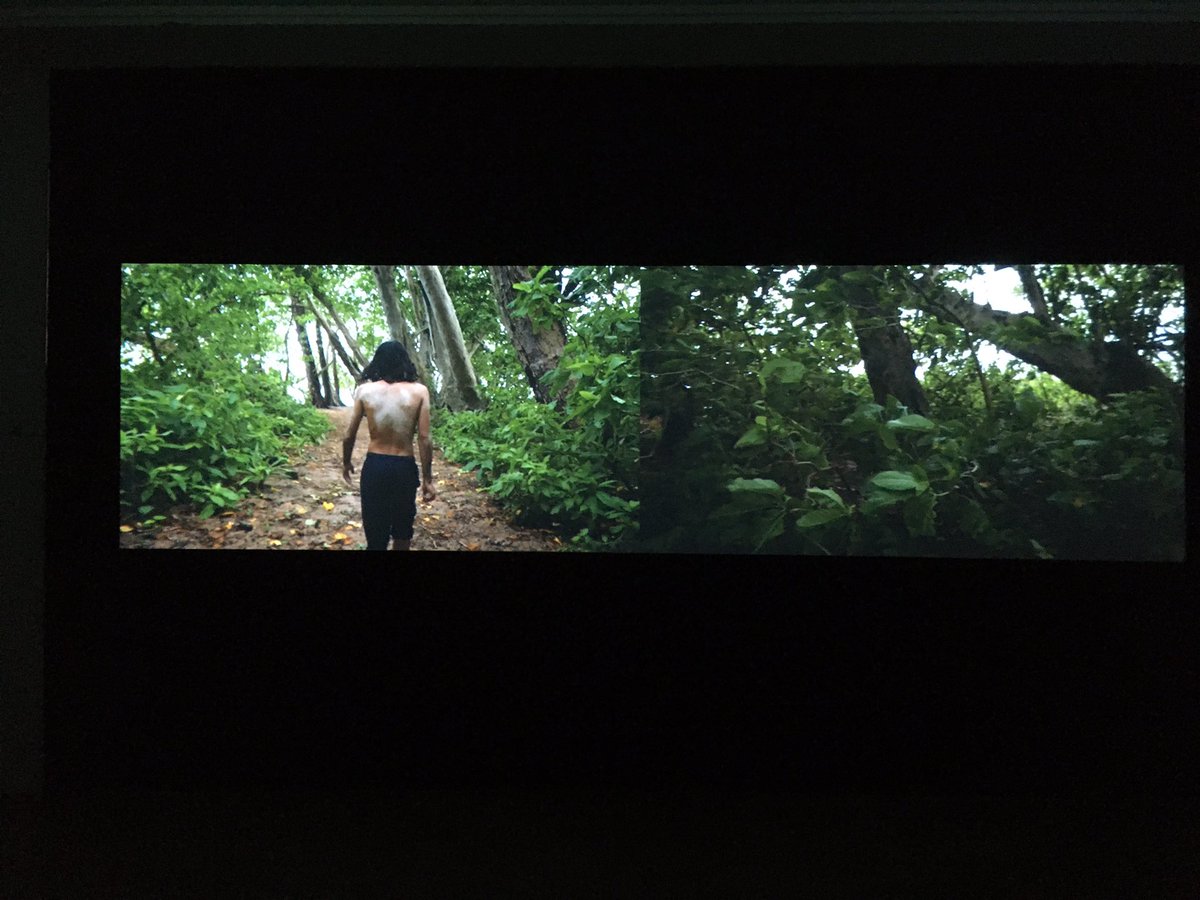 gagprojects's tweet image. #GAGPROJECTS IS OPEN UNTIL 4 today #hodaafshar #Santiagossierra #jamestylor #darrensiwes a must see