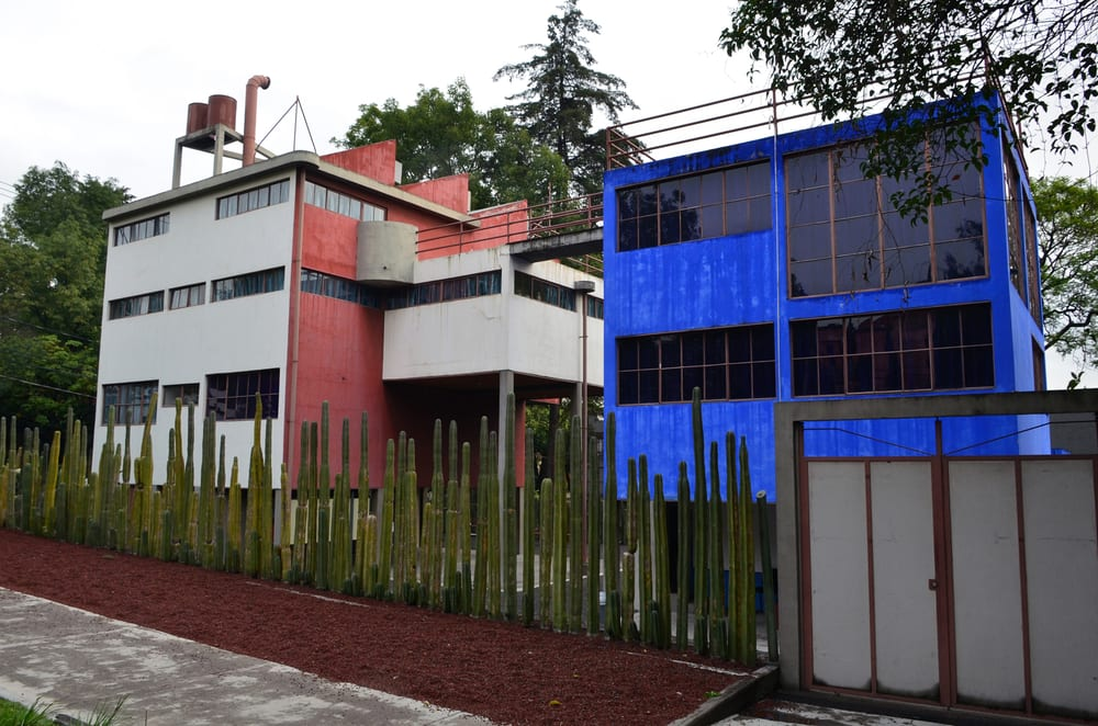ladelcompostaje's tweet photo. Creo que no les conté que hace días soñé que andaba en el Museo Casa Estudio Diego Rivera y Frida Kahlo. 🌵🌵🌵 *Siempre he deseado ir, así que en esta cuarentena por fin se me hizo 😌 (aunque haya sido en sueño, jaja). https://t.co/h3GCituk9f