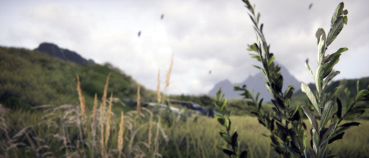 I have updated the example screenshots for Nature Renderer to better show the rendering quality that can be achieved. Take a look:
visualdesigncafe.com/get/nature-ren…

#madewithunity #assetstore #unity3d #screenshotsaturday #gamedev #indiedev