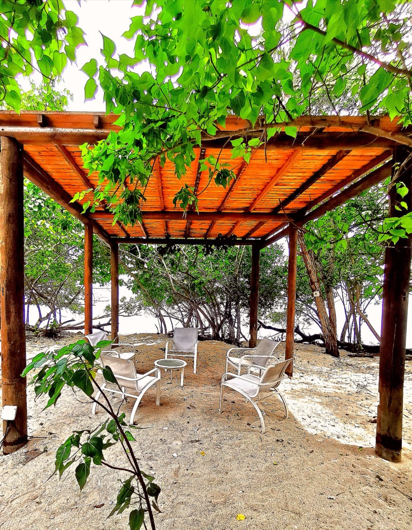 benditabeach's tweet photo. Que tal tomar la hora del tinto mirando a la playa y escuchando el hermoso sonido del mar, se te antoja? Ven y visítanos en @benditabeach 

https://t.co/L8si9Asruh

#summer #colombiansummer #visitcolombia #beachlife #sealife #boatlife #cartagena #colombia #lafantastica #traveler https://t.co/6rau3ZWWAy