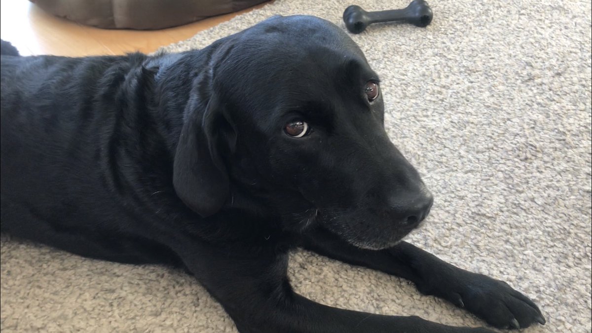 Andrew Cotter tweet media