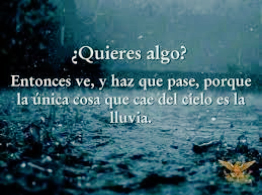 PNcheetos's tweet photo. @pan_noti Hola notipan!
Increible reflexion, tan cierta! 
Aca te dejo una frase que me motiva dia a dia.
Contame que te parece! https://t.co/PfWm3lasXx
