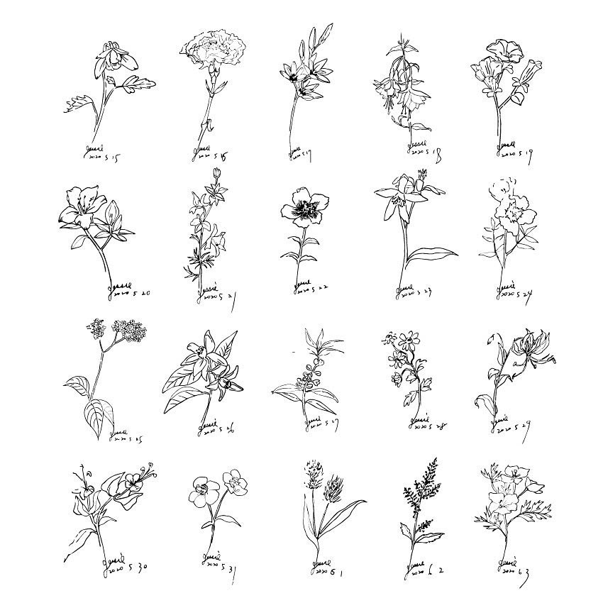 piece.of.flower (@draw_pof) / Posts / X