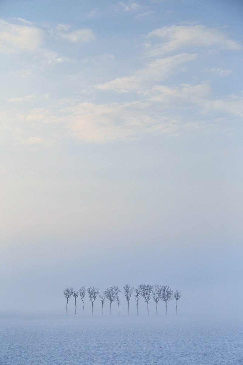 たっきー tweet media