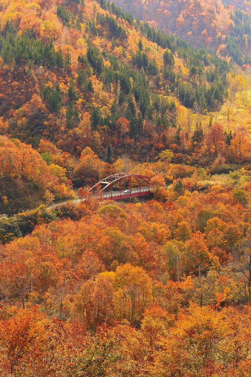 たっきー tweet media