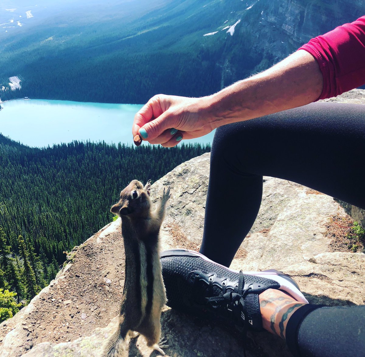 We are all a little stretched these days, but there is beauty all around if we look for it.