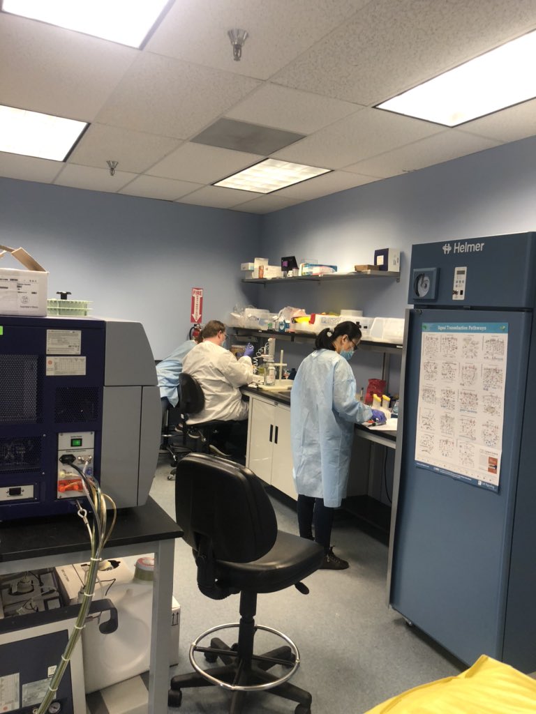 RWEAllergy's tweet photo. Amerimmune lab in full motion at the peak of the coronavirus pandemic - MAY 2020 https://t.co/PxwTiaDHrY