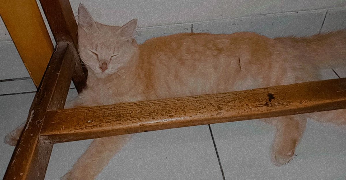 Dia susah buat di facial de, dia cuma butuh senderan😂