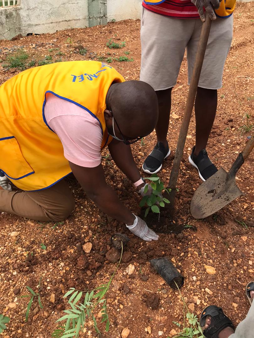 AccraExcel's tweet photo. Tree planting at Tema Community 17 and 18 enclave together with the Community Association. It's a World Environmental day, Tema goes green.
#LCI 
#ghanalions
#accraexcel
#accraultimate
#temagreenwich
#kascity
#accrahills
#accraelite
#communityassociation 
#WorldEnvironmentalDay https://t.co/VHpHtWTR9O