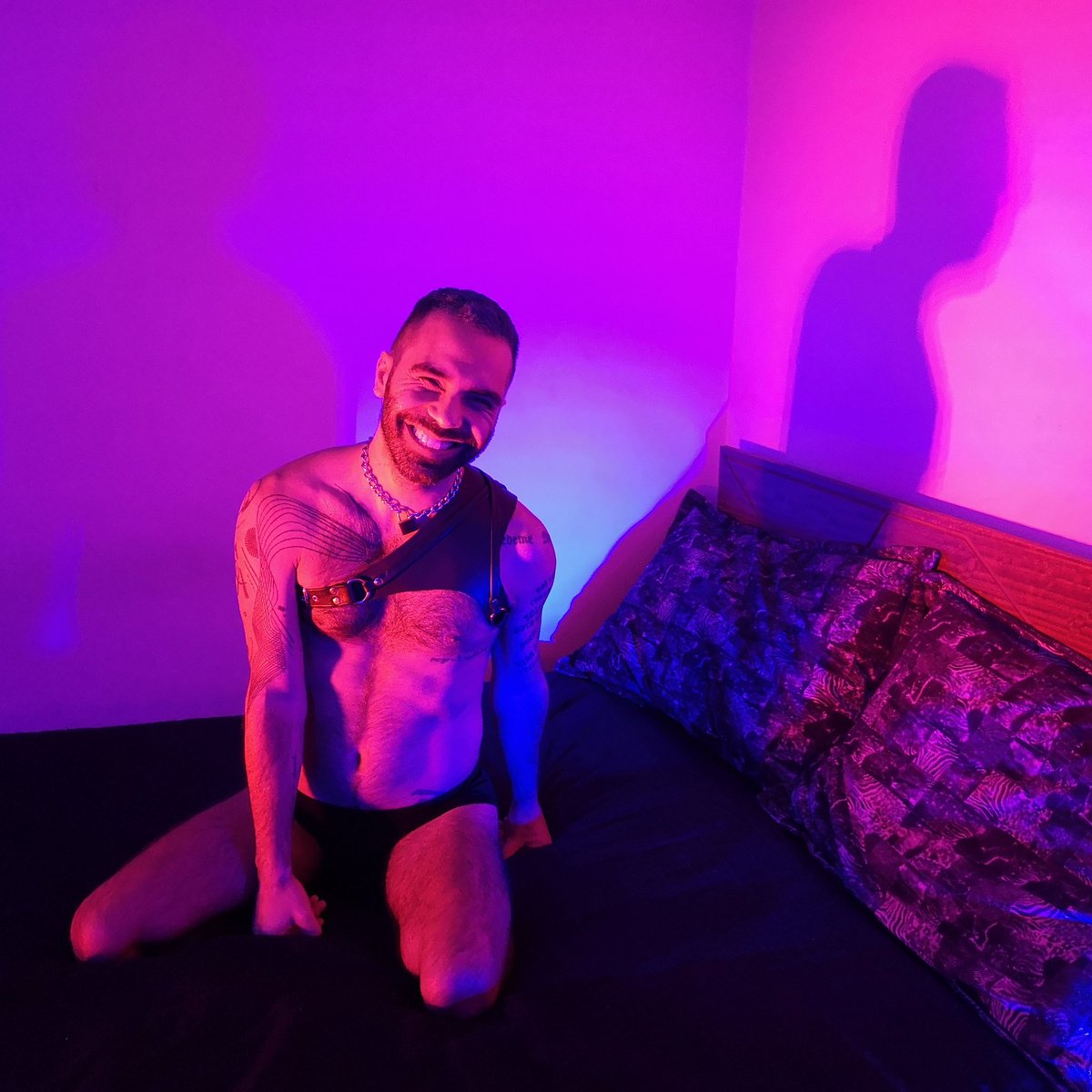pipe_woof's tweet photo. Noche de @fae_festival ⛓️📹

Ph @Rodrigo_Leather 🐶🖤🐻

Mi mirada en la última, siento que estoy por conseguir la mirada Magnum en un desfile de Mugatu 👀👨🏻‍🎤
(esta es una referencia a Zoolander, peli que debiesen ver, mis amados millenials que aún no lo han hecho ya 🥰) https://t.co/QXK50b1jsN