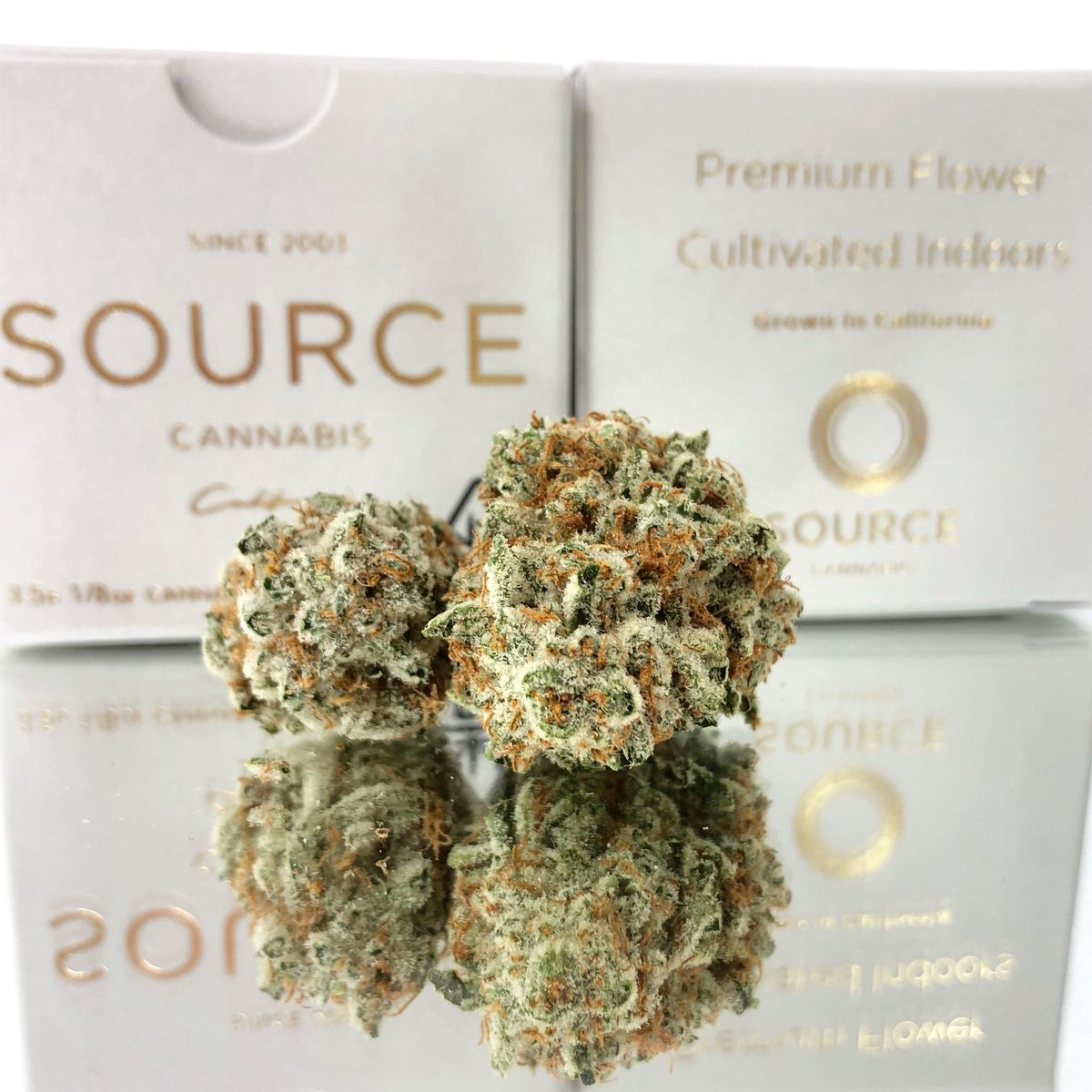 CACVENICE1's tweet photo. #organicweed #cleangreencertified #organic #indoor #topshelf #sourcecannabisla #questisbest #gg4 #quality #sativa #indica #highthc #delicious #perfect  #cannabiscommunity #getlit #wehigh365 #venicebeach #losangeles #smellssogood #smokesesh https://t.co/MnLgbwwRls