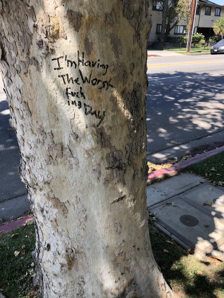 The Giving Up Tree
