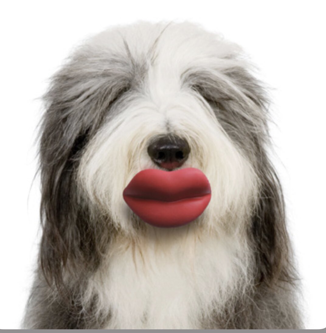 erinctaylor's tweet image. With required mask in Wilco I guess the lip trend is proven to be a waste of money