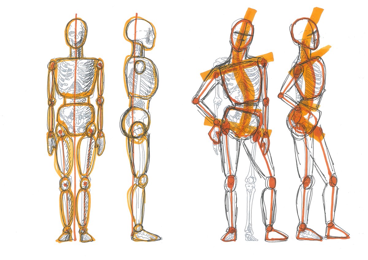 Artgym Ochabi على تويتر 骨格を理解すれば デッサン的に歪みの少ない絵 が描けるようになるので イラストやマンガを描く際に役立ちます ロジカルデッサンの本で練習中の方も オンラインワークショップで描く力を鍛えてみませんか 詳細はこちら T Co