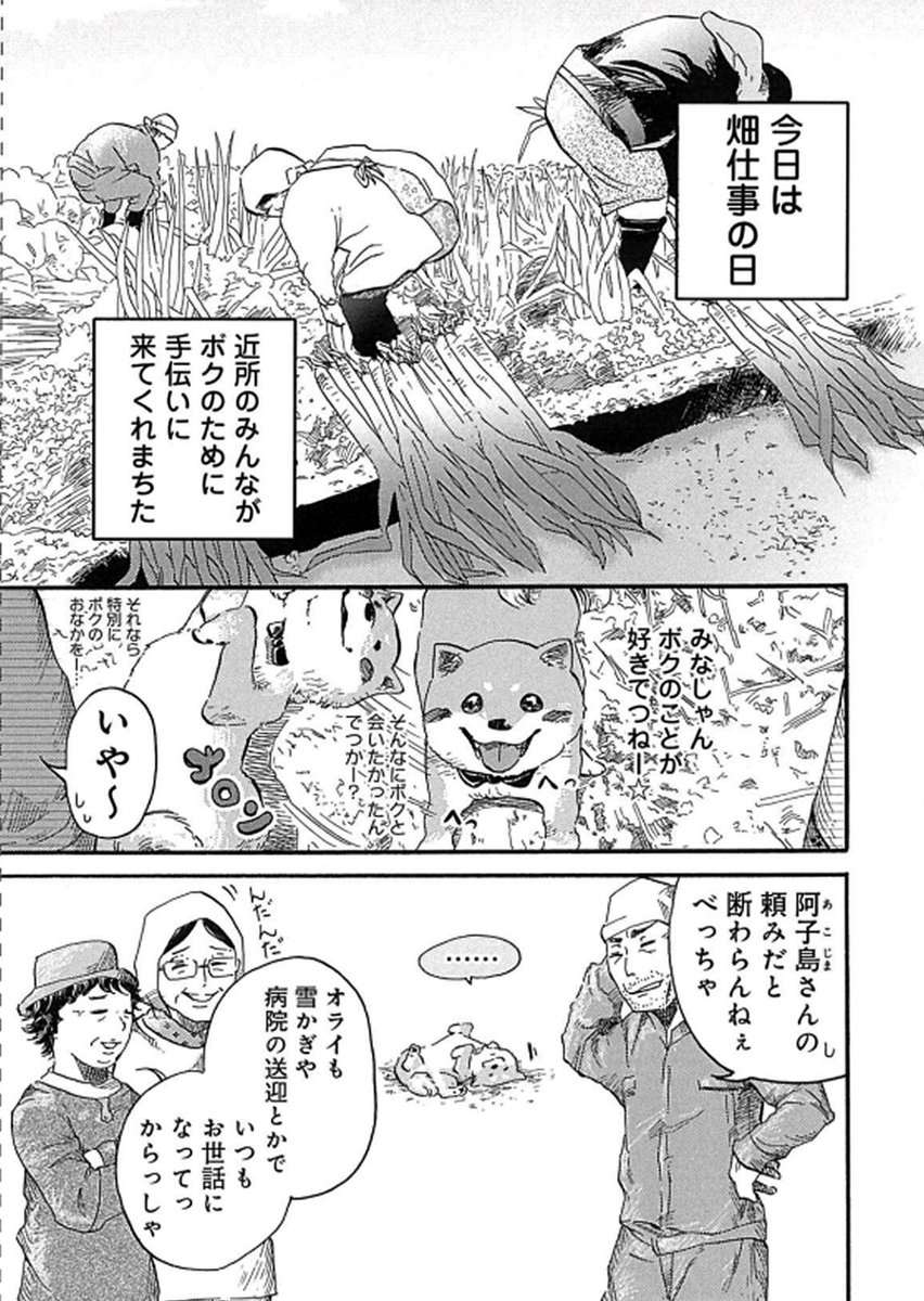本日は『柴ばあと豆柴太』の更新日です!
?ねとらぼ?【毎週日曜更新】
3歩目「豆柴太、家出をする」
震災を経験したワンコ"豆柴太"が、試練の回です!
ぜひ応援してやってください〜??
よろしくお願いします?♀️✨
https://t.co/z6dYsfySII
#柴犬 #犬